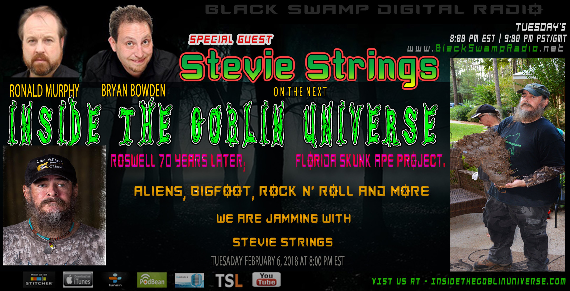 Stevie_Strings_banner1.jpg